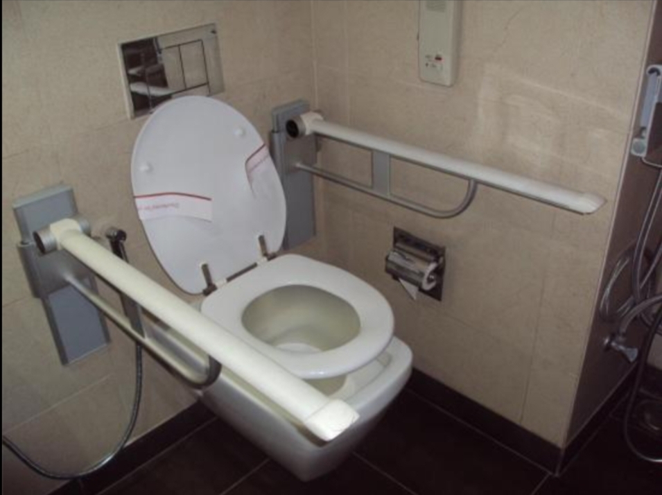 CWSN Toilet
